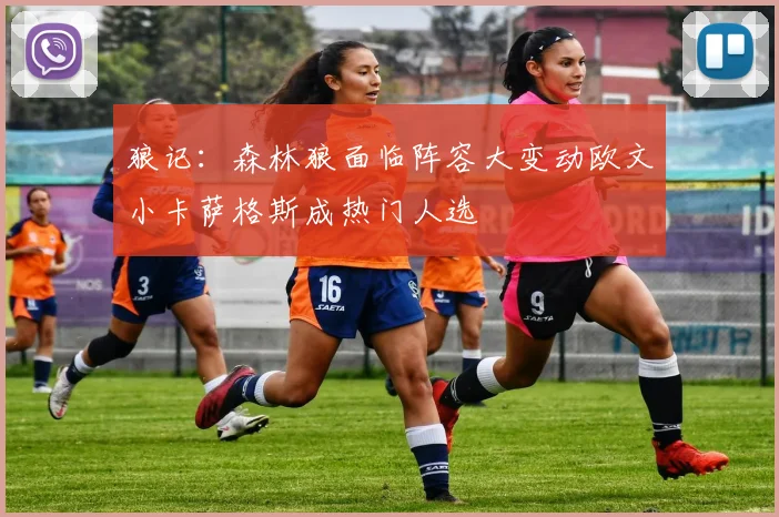 狼记：森林狼面临阵容大变动欧文小卡萨格斯成热门人选